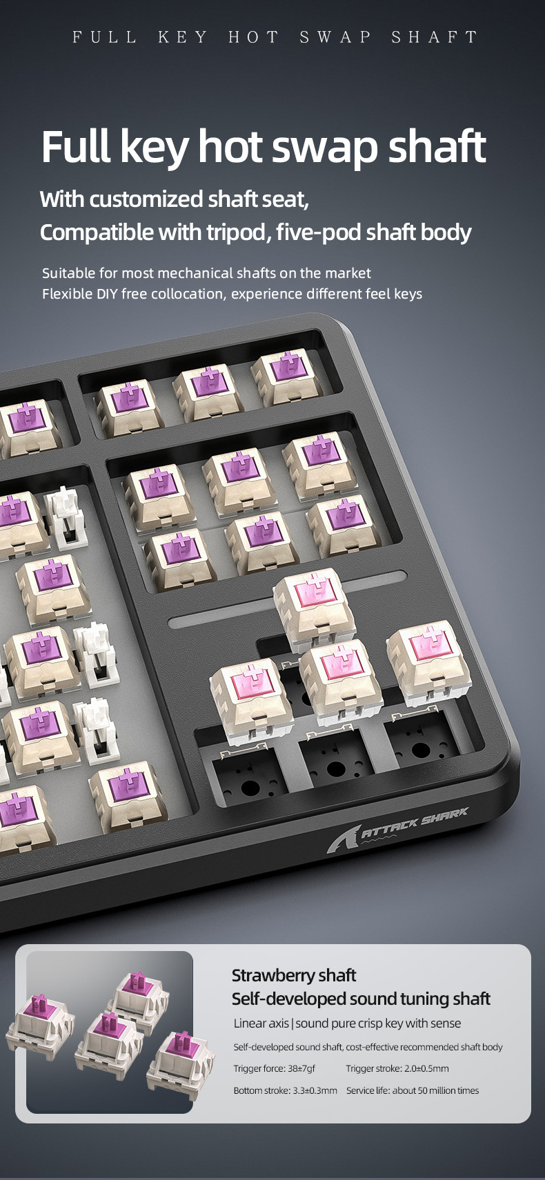 Angriffs-Hai-X87-87-Tasten-Tri-Mode-Mechanische-Gaming-Tastatur-Dichtung-Struktur-Heiszlig-austausch-2023448-6